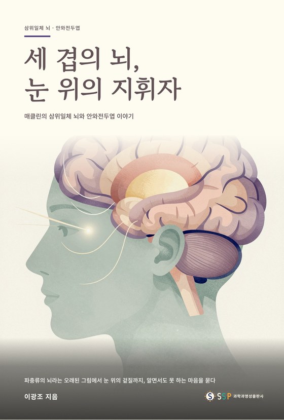 세 겹의 뇌, 눈 위의 지휘자